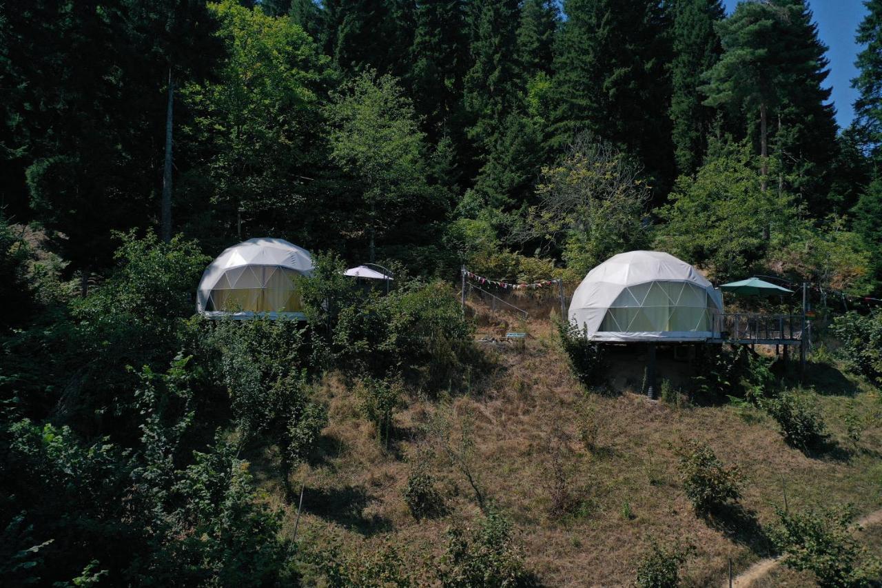 Hotel Ajara Glamping Kokotauri K'eda Exteriér fotografie
