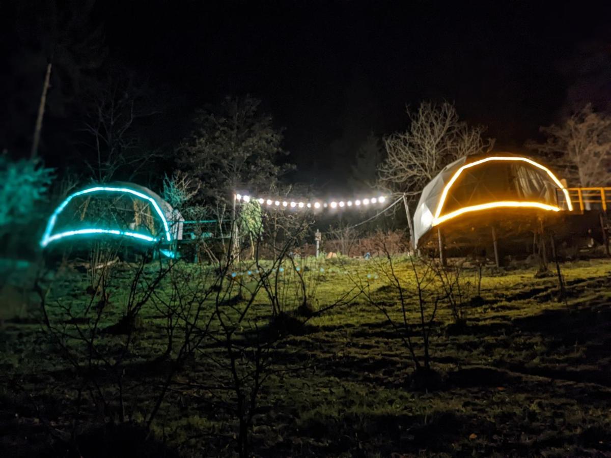 Hotel Ajara Glamping Kokotauri K'eda Exteriér fotografie
